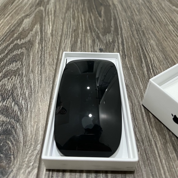 Apple Other - Apple Magic Mouse - Black Multi-Touch Surface